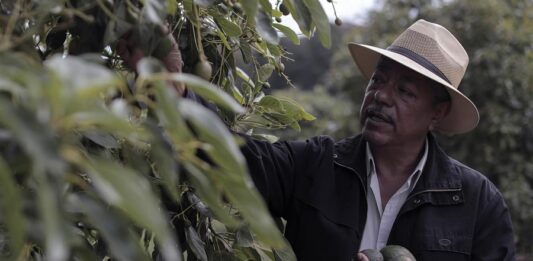 Ingeniero Cuauhtémoc Montero.