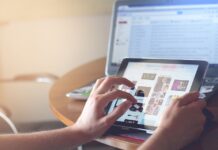 Con la llegada de internet se abrieron dos caminos, por igual para la mayoría: entretenimiento y educación.