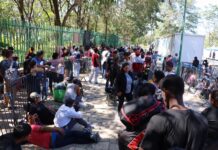 Migrantes