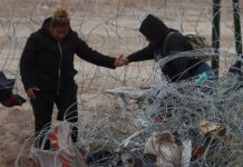Migrantes