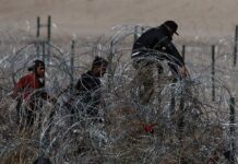 Migrantes