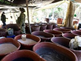 Autoridades hallan enorme laboratorio con 80 toneladas de metanfetaminas cerca de EE.UU. Soldados del Ejército hacen presencia en un laboratorio clandestino de droga sintética, hoy, en Quiriego Sonora