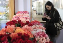 rosas