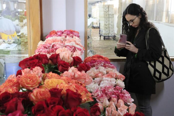 Una mujer toma una foto a varios arreglos de rosas rosas
