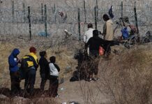 migrantes
