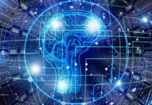 Estas trampas, diseñadas para capturar tegus específicamente, operan de manera automatizada y remota, lo que reduce significativamente los recursos necesarios para su remoción.