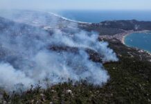 incendios forestales