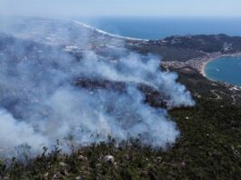 incendios forestales