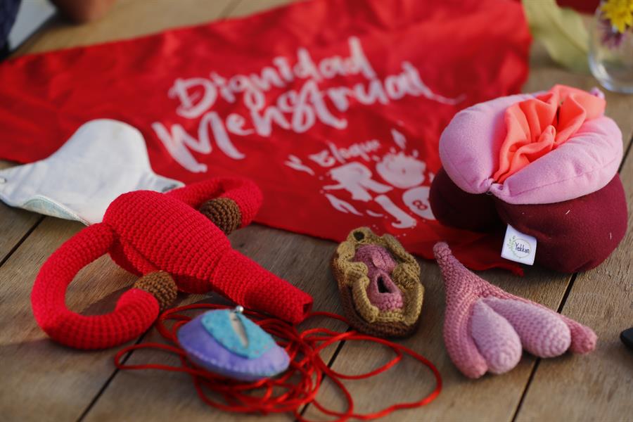  Fotograf&iacute;a de elementos did&aacute;cticos usados por educadoras menstruales en sus clases, el 7 de marzo de 2024, en Guadalajara, Jalisco, M&eacute;xico.