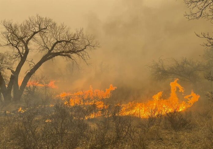 Incendios efe Los bomberos han contenido apenas un 37 % del incendio Smokehouse Creek, que arrasó caso 429.000 hectáreas.