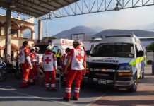 Al menos 5 campesinos murieron al combatir incendio forestal en estado mexicano de Oaxaca