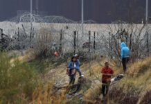 Migrantes