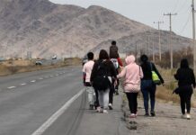 Migrantes