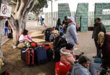 Migrantes