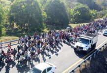 Migrantes