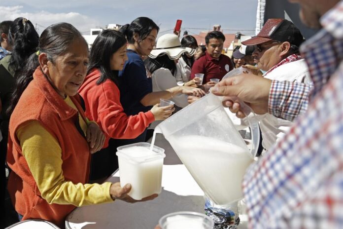 Un hombre reparte 'pulque' (1)