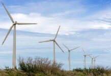 Organizada por la Cámara de Comercio España-Estados Unidos y patrocinada por la empresa española de seguidores de energía fotovoltaica Soltec, la cita, con amplia presencia española, pondrá su foco también en las tendencias tecnológicas en el sector de las renovables.
