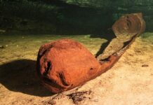 Una canoa prehispánica hallada en una cueva inundada en la comunidad de San Andrés, en la ciudad de Mérida en Yucatán, México.
