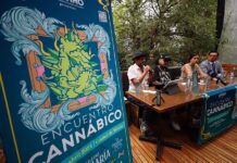industria internacional del cannabis.