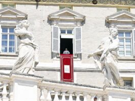 El papa Francisco