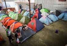 Migrantes