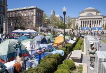 campamento instalado por estudiantes que se manifiestan a favor de Palestina