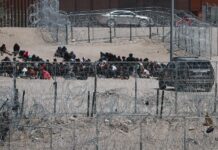 migrantes