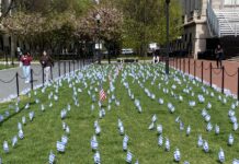 pequeñas banderas de Israel, colocadas estratégicamente este jueves en el césped contiguo al que protestan los alumnos propalestinos en la Universidad de Columbia