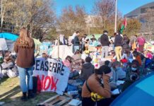Decenas de estudiantes propalestina se mantienen en el campamento al interior de la Universidad Northeastern este viernes, en Boston,
