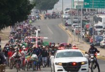 Migrantes