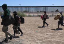 Migrantes