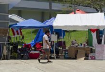 Piden a la Universidad de Puerto Rico cesar relación con fabricantes de armas "genocidas" Un hombre camina por un campamento estudiantil en apoyo a Palestina, este sábado en San Juan (2)
