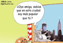 Las ratas más populares en Nueva York caricatura