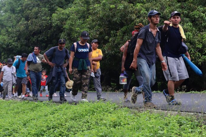 Migrantes