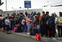 Migrantes