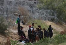Migrantes