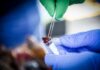 El Departamento de Salud de Nueva York confirma que se ha eliminado la fuente del brote la enfermedad del legionario en el sur del Bronx prueba de laboratorio