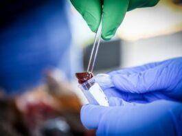 prueba de laboratorio
