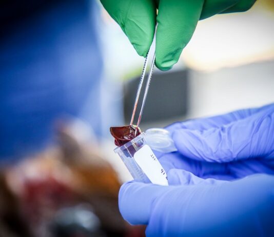 prueba de laboratorio