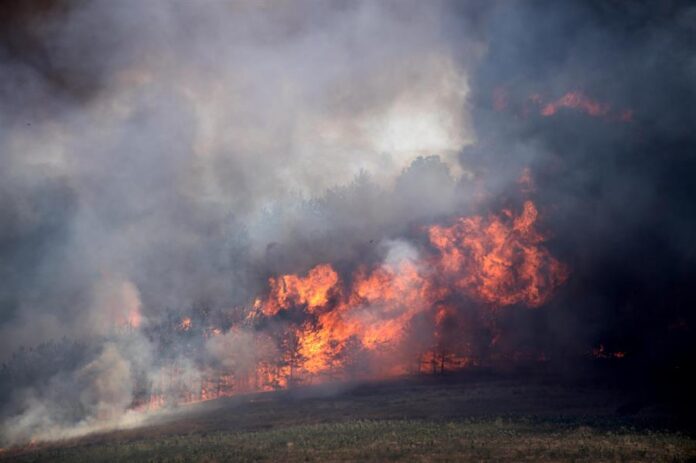 El peor incendio de California