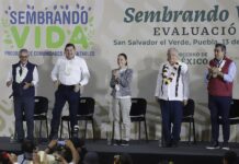 El presidente de México, Andrés Manuel López Obrador (2-d), la presidenta electa de México Claudia Sheinbaum