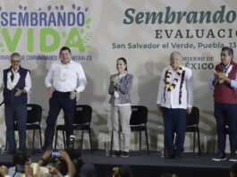 Claudia Sheinbaum se compromete a continuar con programa Sembrando Vida en México El presidente de México, Andrés Manuel López Obrador (2-d), la presidenta electa de México Claudia Sheinbaum