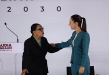 Jefa de Seguridad de López Obrador será la principal secretaria del Gobierno de Sheinbaum La actual secretaria de Seguridad de México, Rosa Icela Rodríguez (i), conversa con la presidenta Electa Claudia Sheinbaum