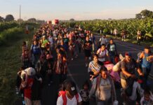 Migrantes