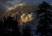incendio