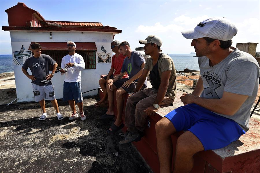 varios palomeros conversando en el techo de una casa, en La Habana