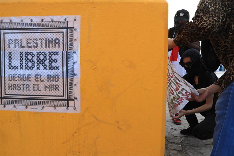 Activistas del Frente Binacional por la Libertad de Palestina, protestan (2)