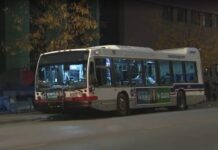 Autobuses