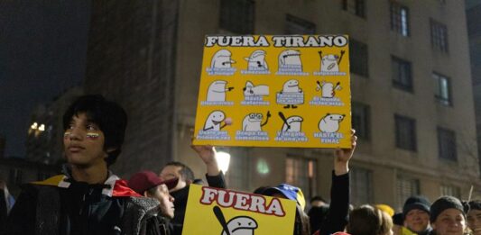 - Ciudadanos venezolanos que residen en Chile protestan este sábado, para rechazar los resultados de las elecciones (2)