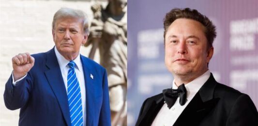 Trump y Elon Musk